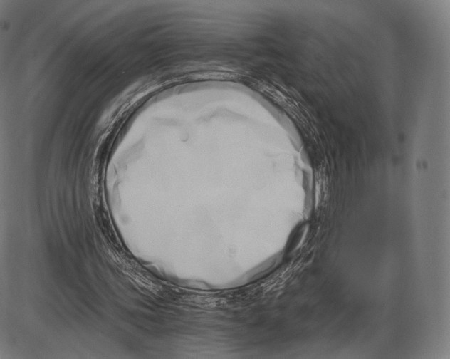 X0000084010339200703161719