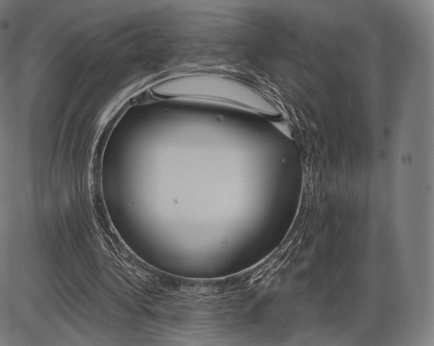 X0000084010340200703161719