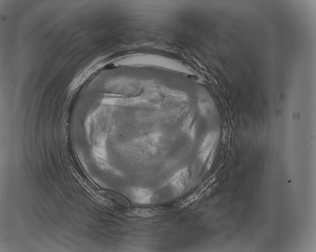 X0000084010341200703161719