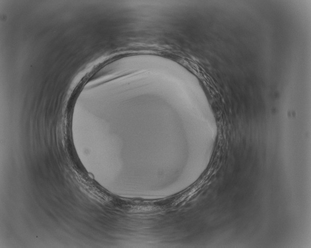 X0000084010342200703161719