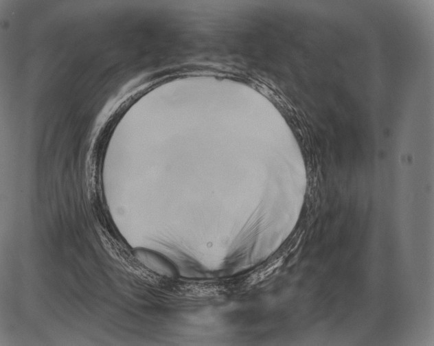 X0000084010343200703161719