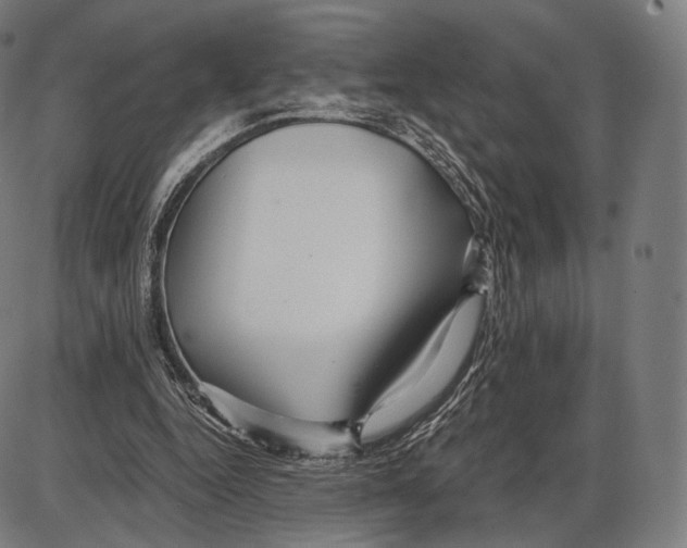 X0000084010344200703161719