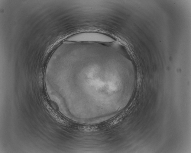 X0000084010345200703161719