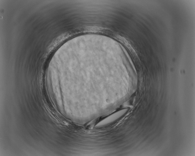 X0000084010346200703161719