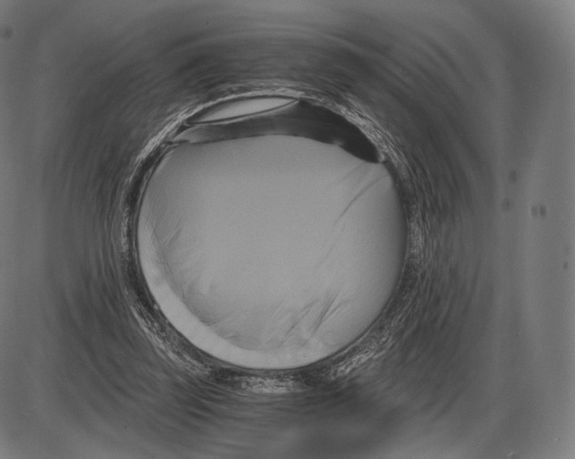 X0000084010347200703161719