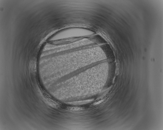 X0000084010348200703161719