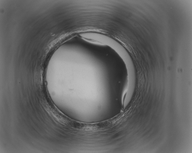 X0000084010350200703161719