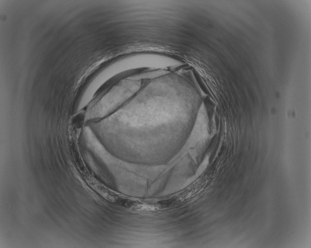 X0000084010352200703161719