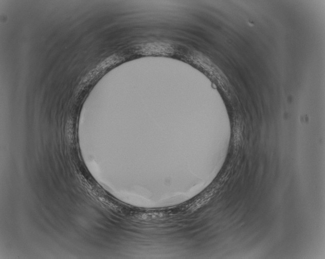 X0000084010353200703161719