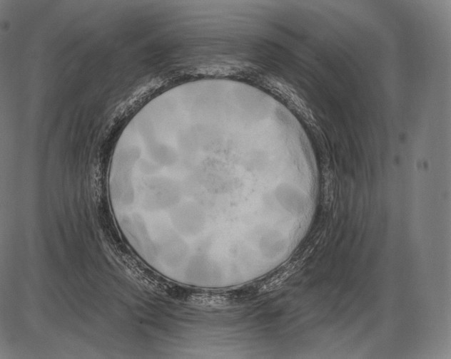 X0000084010354200703161719