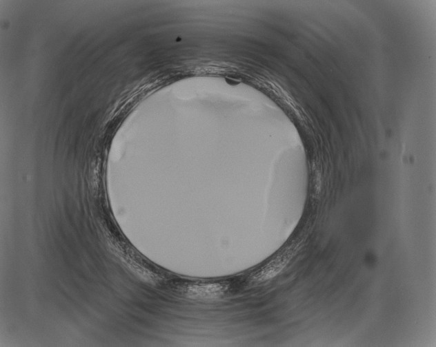 X0000084010357200703161719