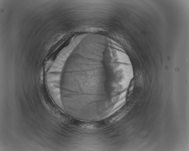 X0000084010358200703161720