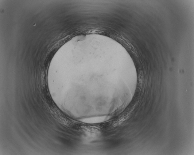 X0000084010359200703161720