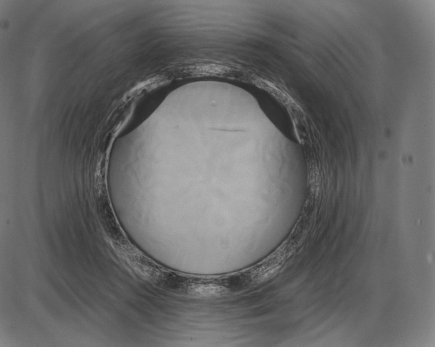 X0000084010360200703161720