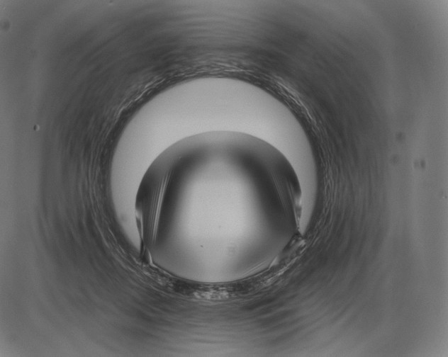 X0000084010362200703161720