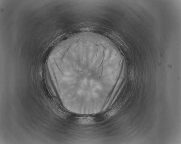 X0000084010363200703161720