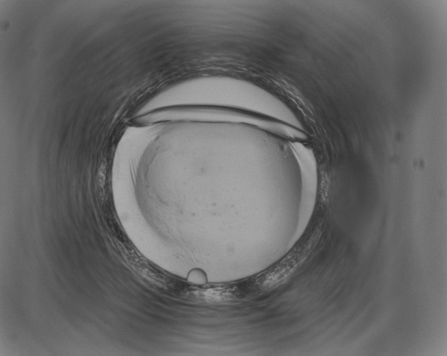 X0000084010365200703161720