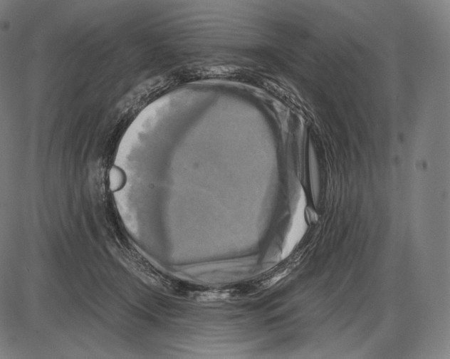 X0000084010366200703161720