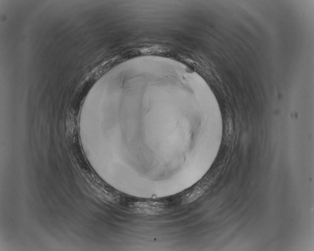 X0000084010367200703161720