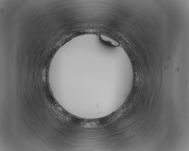 X0000084010368200703161720