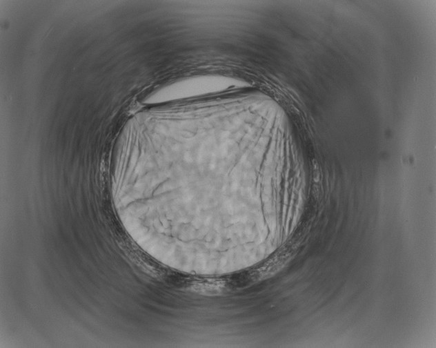 X0000084010369200703161720