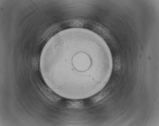 X0000084010370200703161720