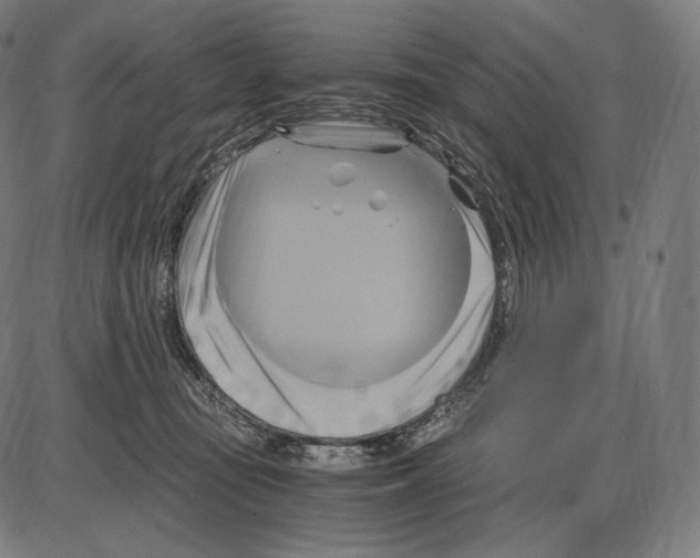 X0000084010371200703161720