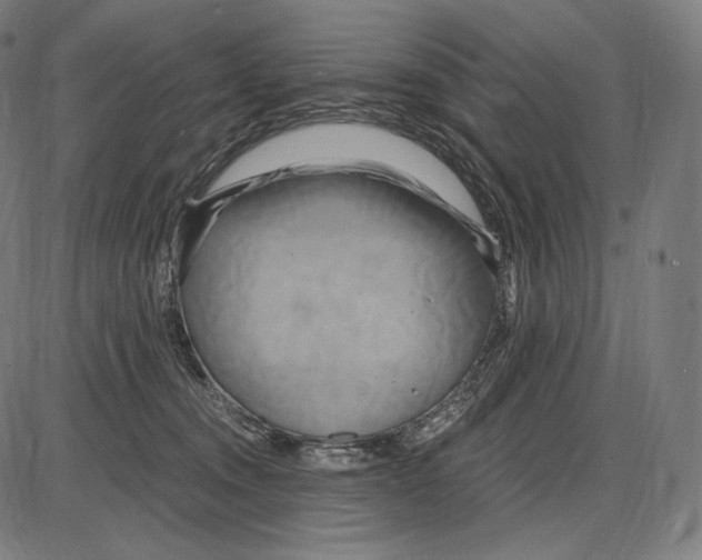 X0000084010372200703161720