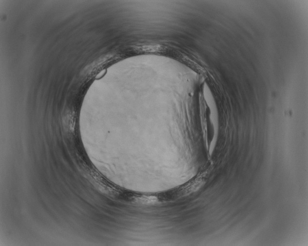 X0000084010374200703161720