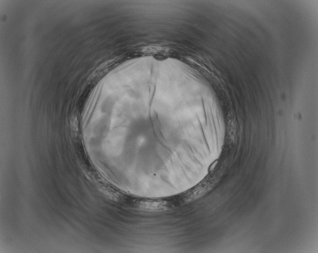 X0000084010375200703161720