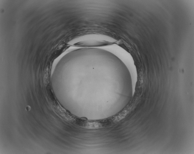 X0000084010376200703161720