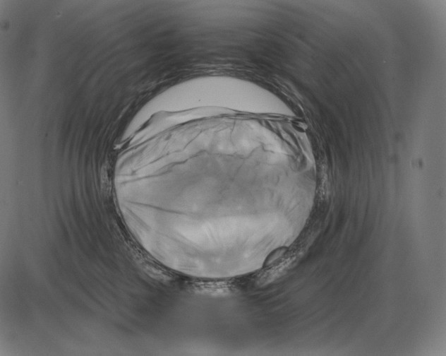 X0000084010377200703161720