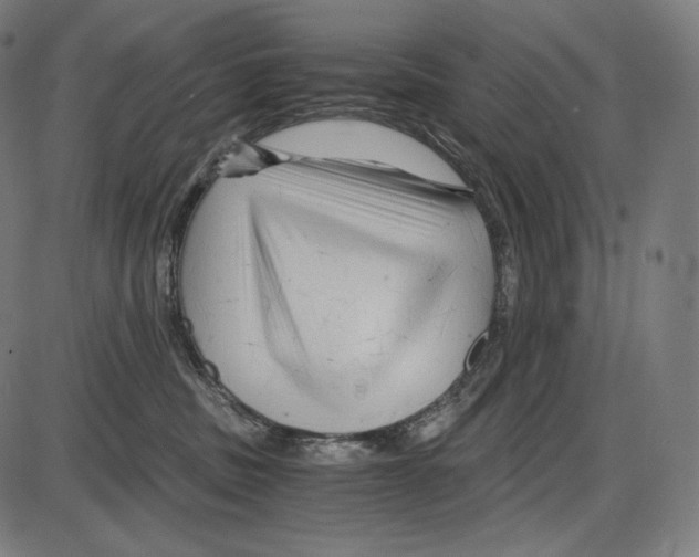 X0000084010379200703161720