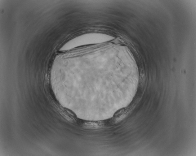 X0000084010381200703161720