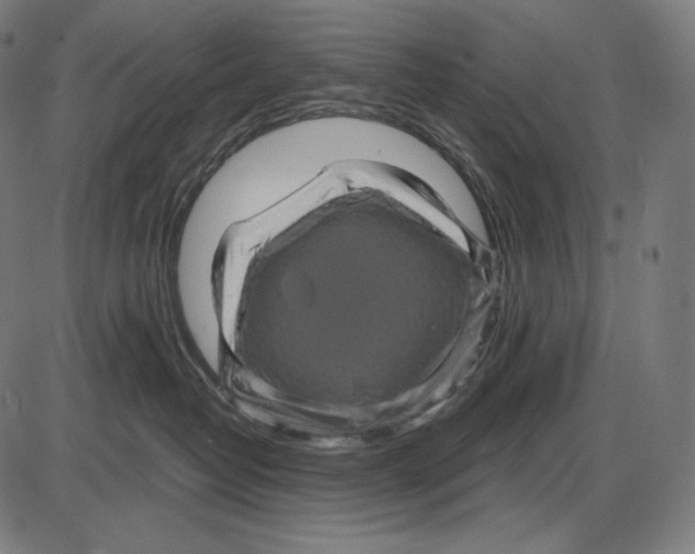 X0000084010382200703161720