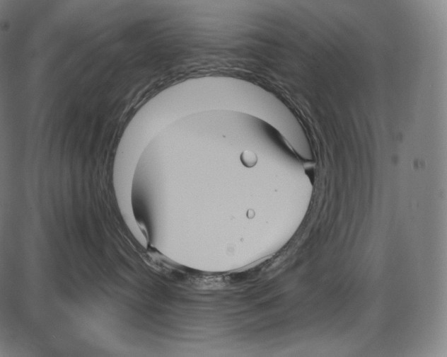 X0000084010384200703161720