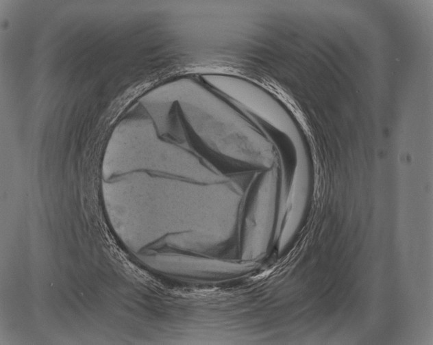 X0000084010385200703161719