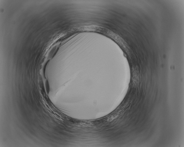 X0000084010386200703161719