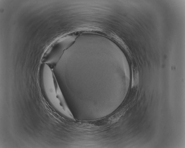 X0000084010387200703161719