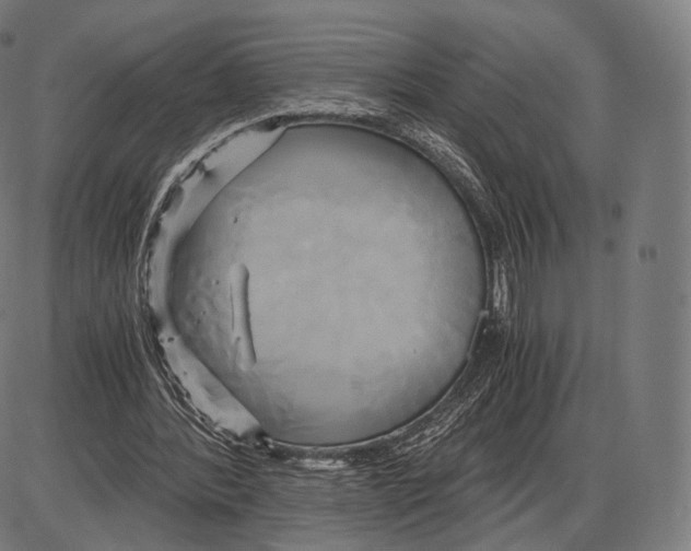 X0000084010388200703161719