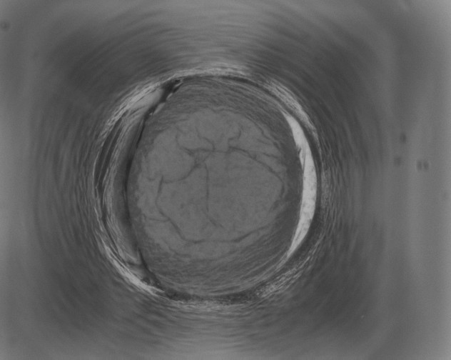 X0000084010389200703161719