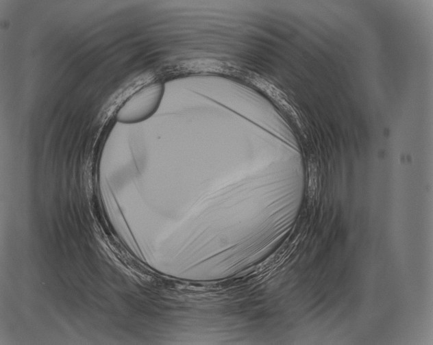 X0000084010390200703161719