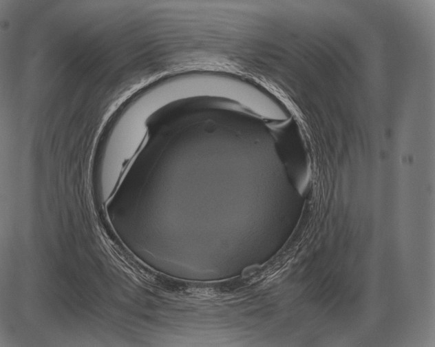 X0000084010391200703161719