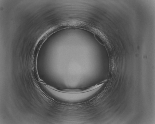 X0000084010392200703161719