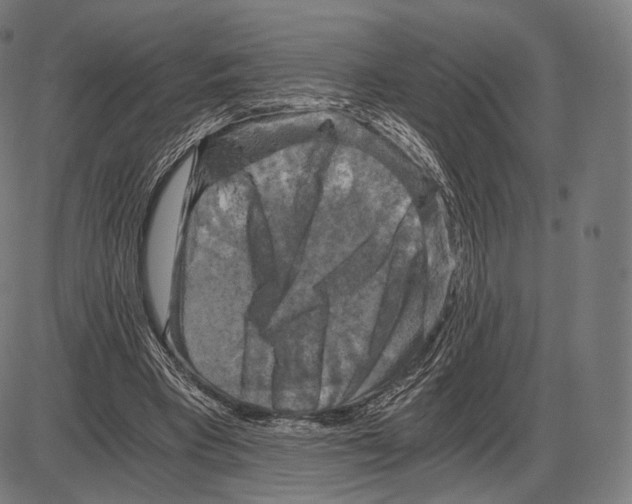 X0000084010393200703161719