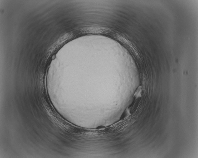 X0000084010394200703161719