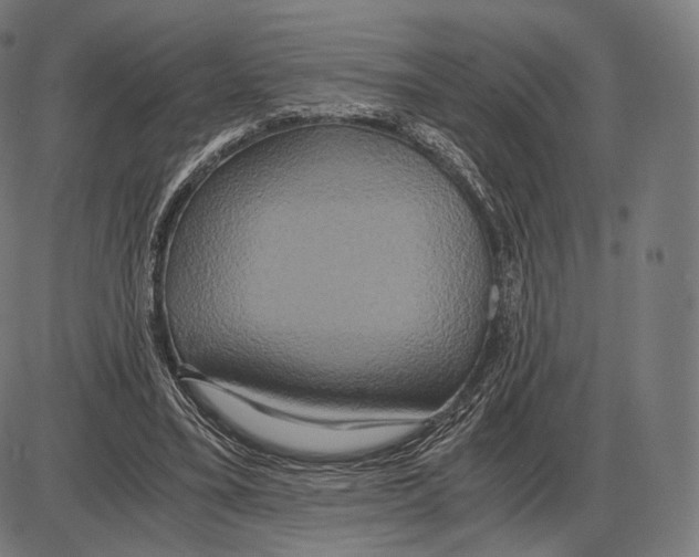 X0000084010395200703161719