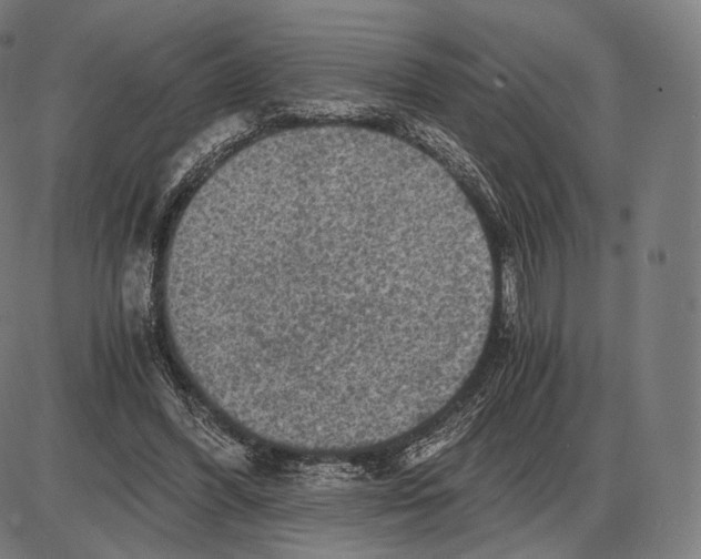 X0000084010396200703161719