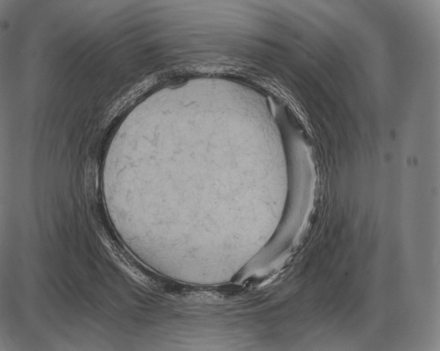 X0000084010397200703161719