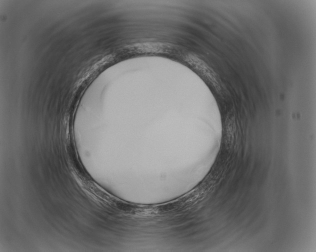 X0000084010398200703161719